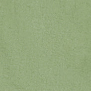 BERMUDA IN MICRO TWILL DI COTONE - PISTACCHIO - Image 5